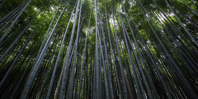开云官方新闻资讯 - 足球赛后战报图文报道，kaiyun体育为您呈现比赛精彩回顾与球员评分
