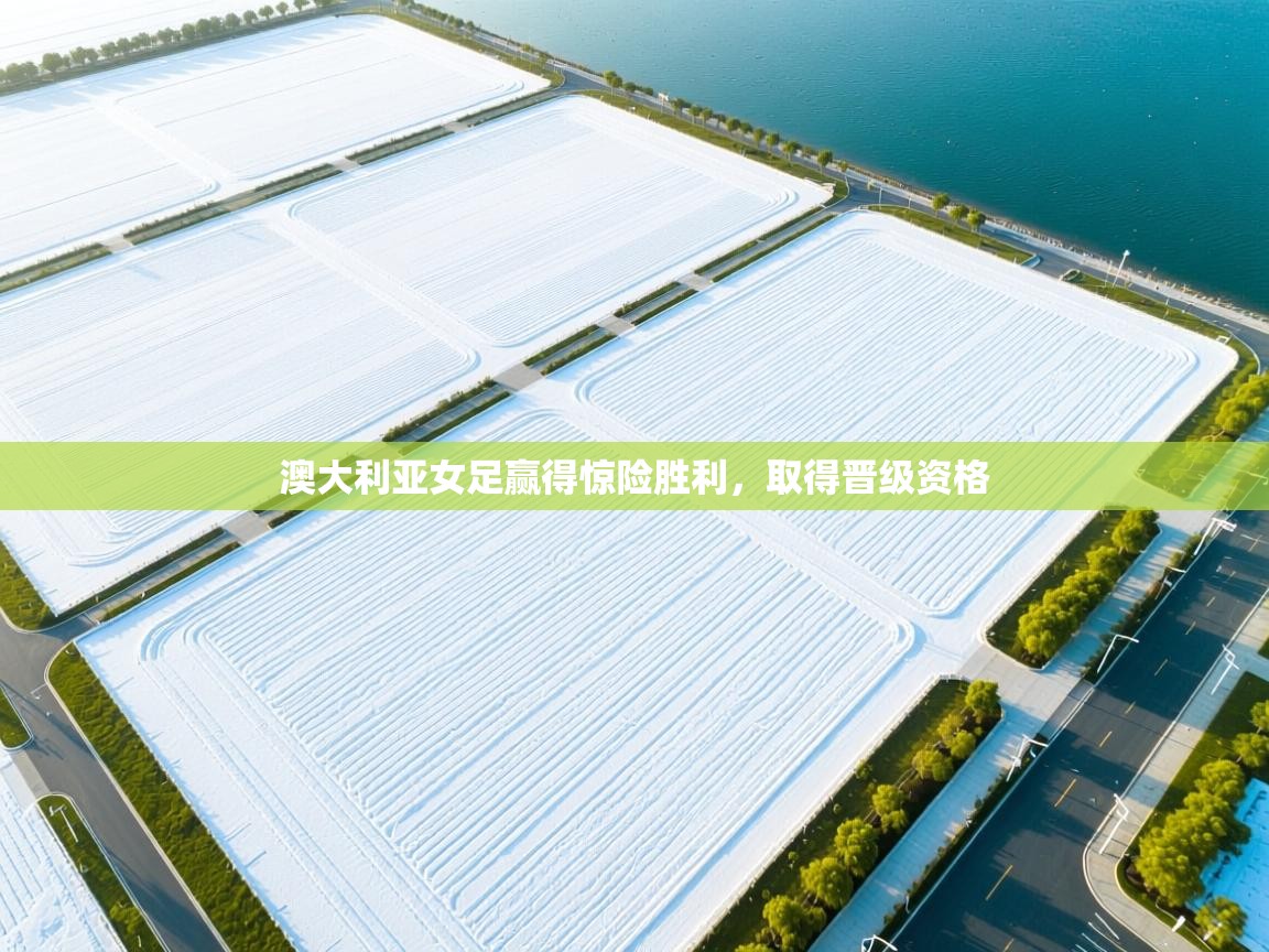 开云体育在线入口-澳大利亚女足赢得惊险胜利,取得晋级资格 第4张