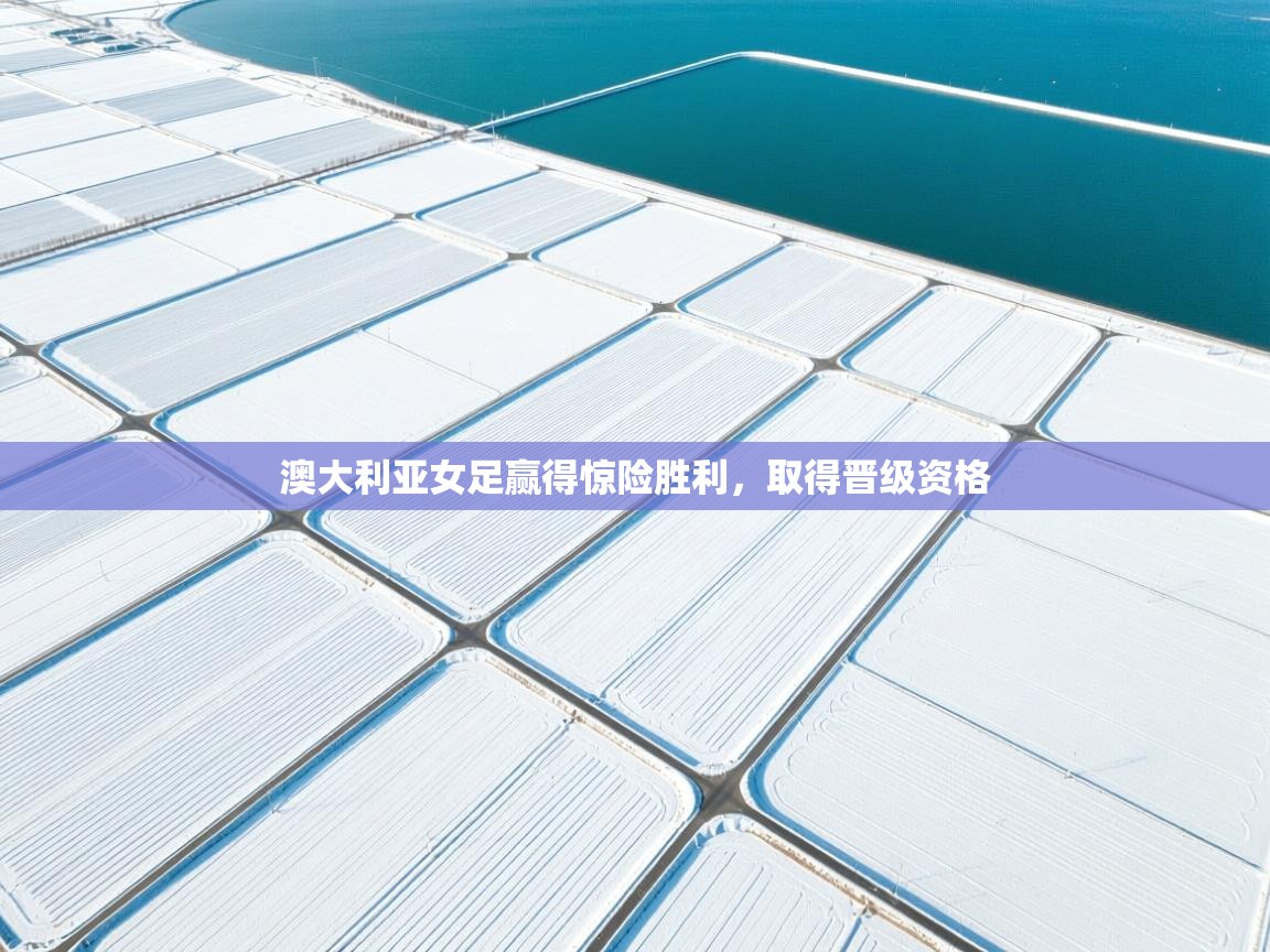 开云体育在线入口-澳大利亚女足赢得惊险胜利,取得晋级资格 第3张