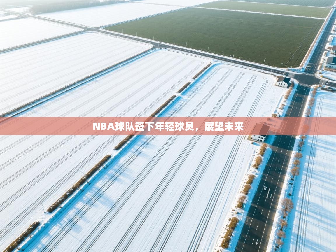 开云体育登录入口-NBA球队签下年轻球员，展望未来