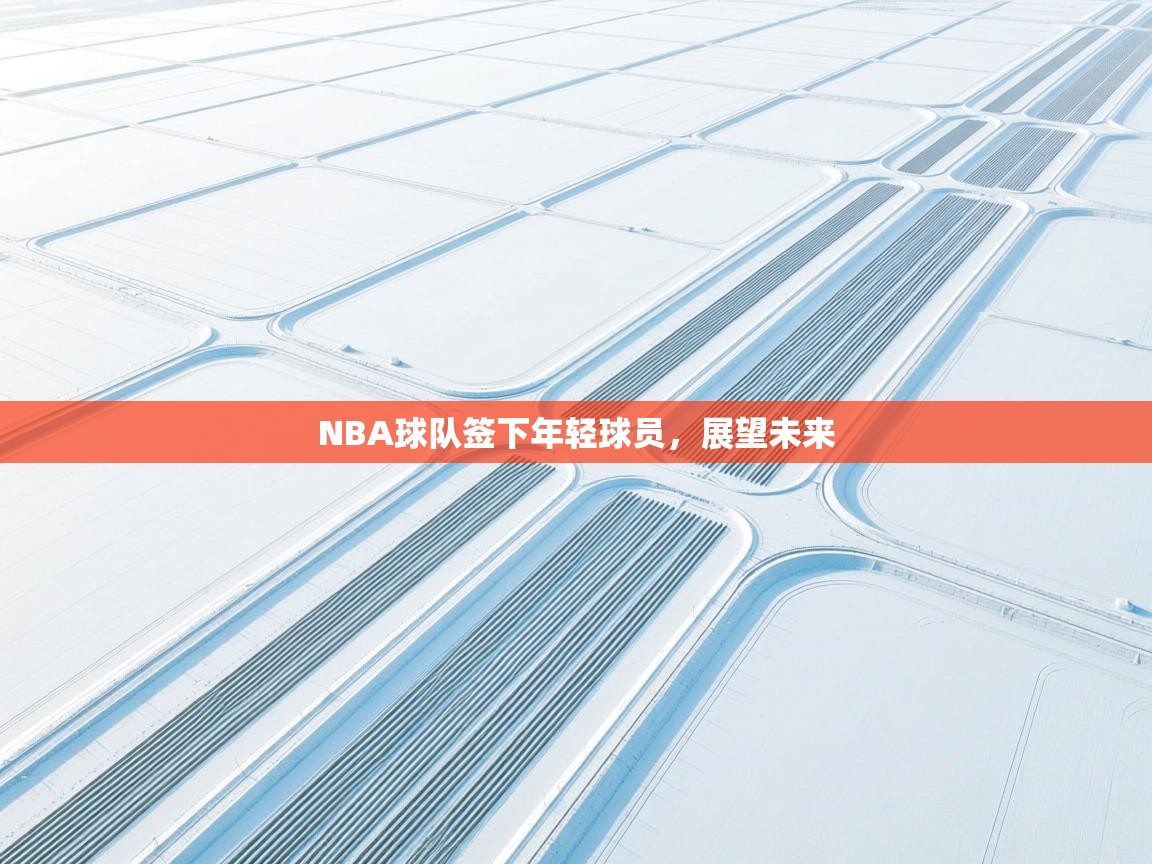 开云体育登录入口-NBA球队签下年轻球员，展望未来  第2张