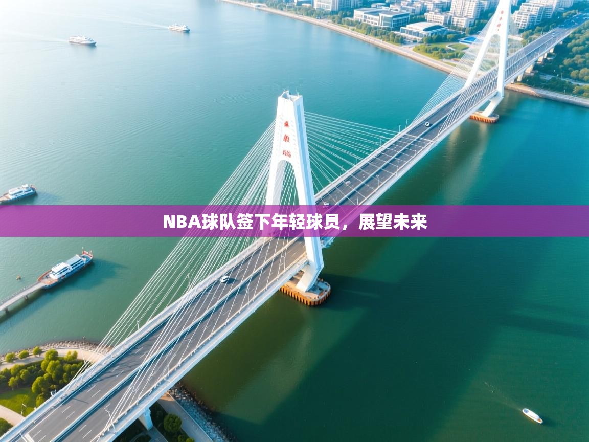 开云体育登录入口-NBA球队签下年轻球员，展望未来  第3张