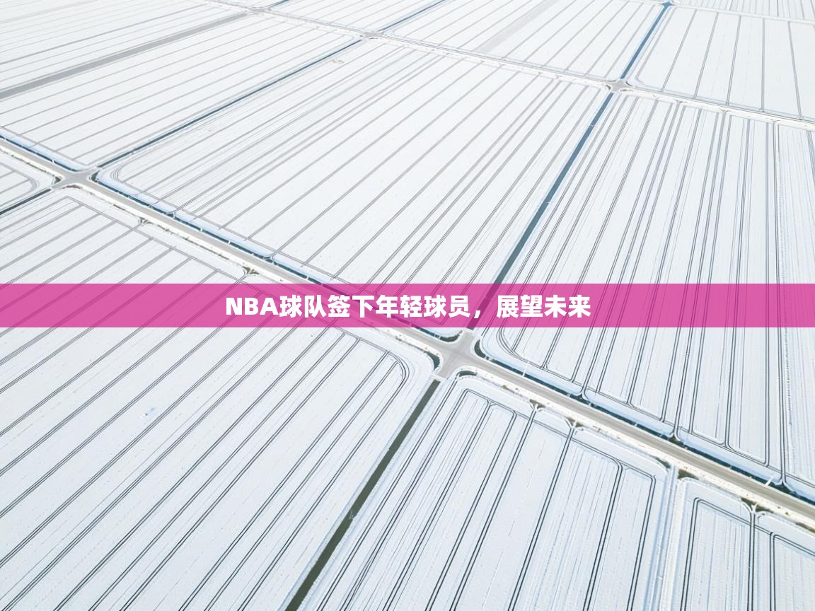 开云体育登录入口-NBA球队签下年轻球员，展望未来  第4张