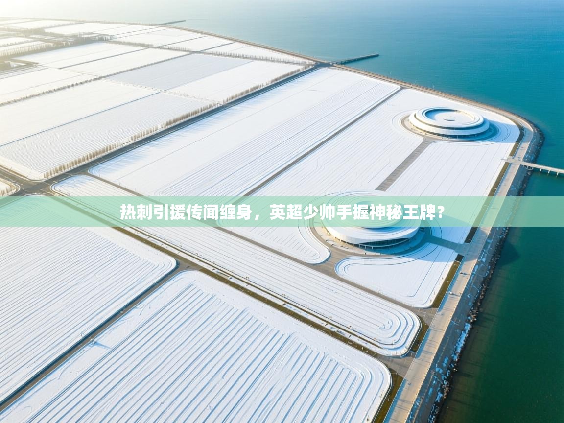 开云体育iOS安装教程-热刺引援传闻缠身，英超少帅手握神秘王牌？  第2张