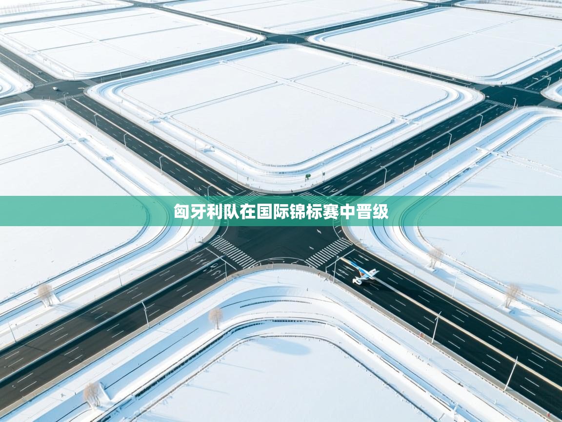 开云体育入口客服-匈牙利队在国际锦标赛中晋级 第1张