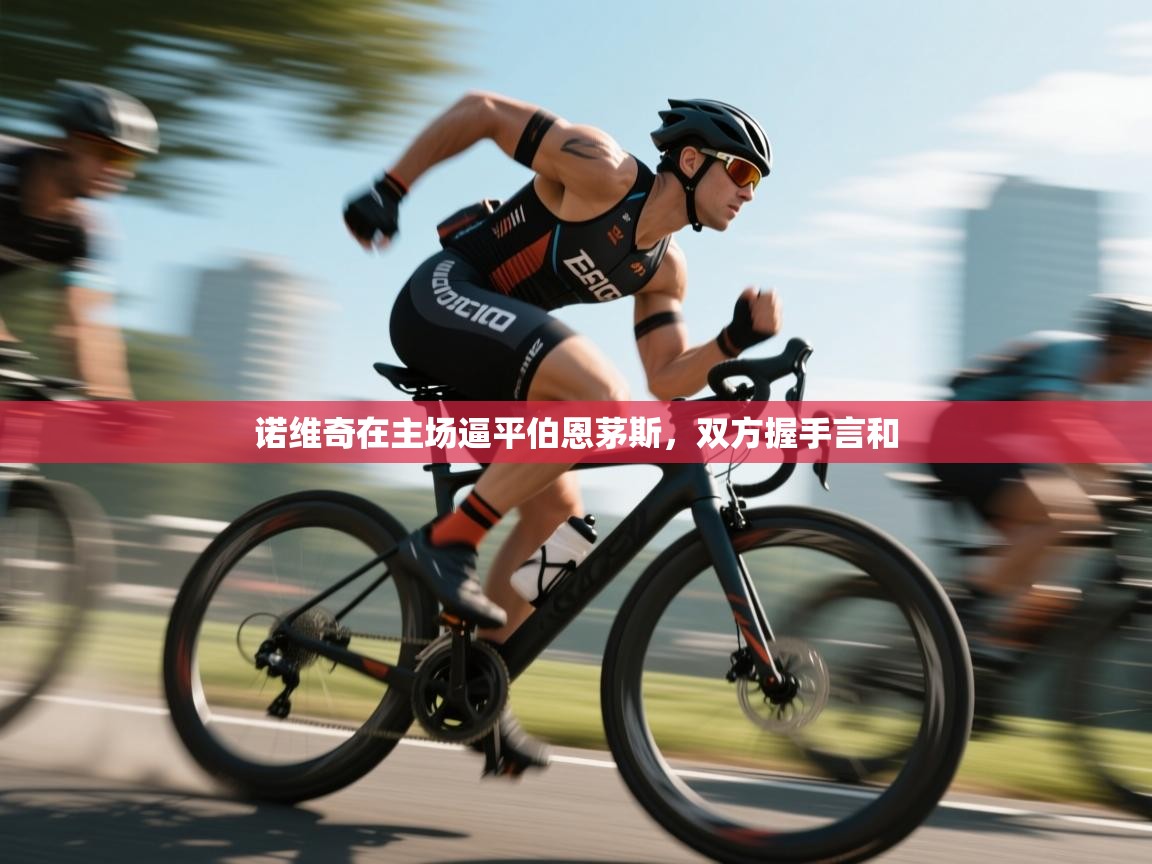 开云体育app下载-诺维奇在主场逼平伯恩茅斯,双方握手言和 第1张