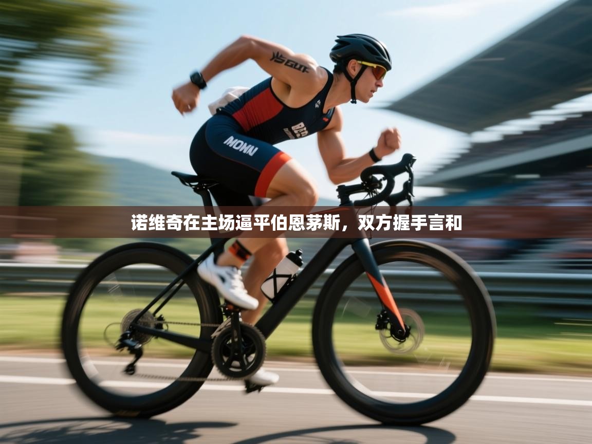 开云体育app下载-诺维奇在主场逼平伯恩茅斯,双方握手言和 第3张